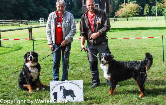 6.schoenheitsschau bsv2010 11